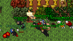 Madziarka on screen
