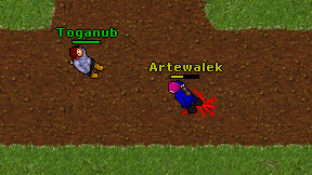 Artewalek on screen