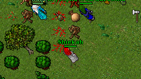 Shiekah on screen