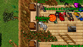 Flather on screen