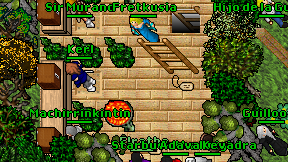 Fretkusia on screen