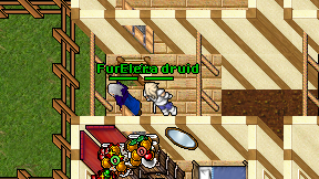 Elera druid on screen