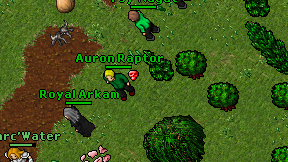 Auron Raptor on screen