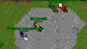 Sit Druid on screen