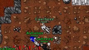 Cascheer on screen