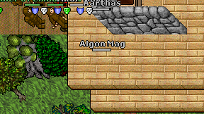 Algon Mag on screen