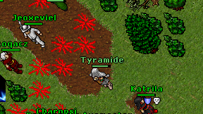 Tyramide on screen