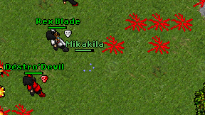 Mikakila on screen