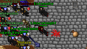 Liberaknight on screen