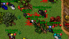 Arion Shard on screen