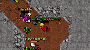 Sir Transforme on screen