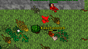 Kasztanolek on screen