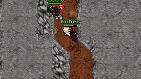 Kubex on screen