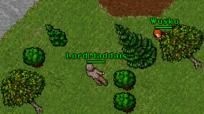 Lord Maddais on screen