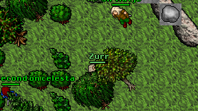 Zurr on screen