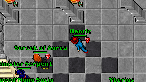 Hancic on screen