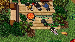 Soggytowfu on screen