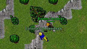Ronin Heideki on screen