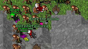 Andy the pandy on screen