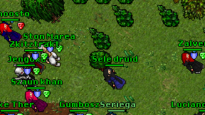 Sele druid on screen