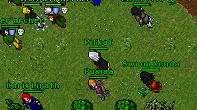 Pifkof on screen