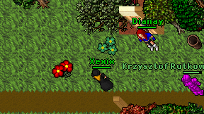 Xexix on screen