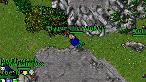 Major the Yankee on screen