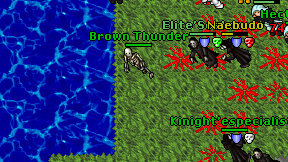Brown Thunder on screen