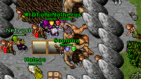 Netrusit on screen