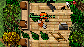 Gumis-Amera on screen