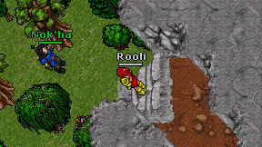 Rooli on screen