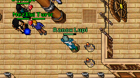 Ranox Lupi on screen