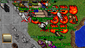 Dragonxox on screen