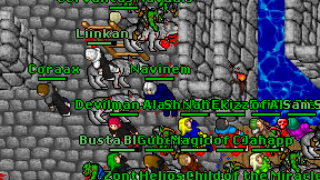Navinem on screen