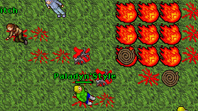 Paladyn'Style on screen