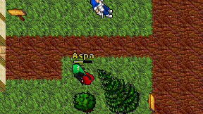 Aspa on screen