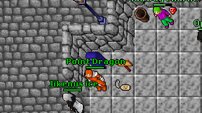 Point Dragon on screen