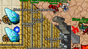 Xengo on screen