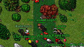 Porcaum Knight on screen