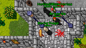 Berig Mage on screen