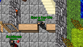Gora turtle on screen