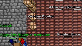 Voodoo Dealer on screen