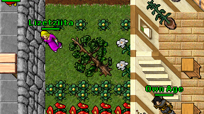 Lizetziita on screen