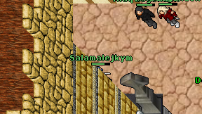 Salamalejkym on screen
