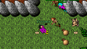 Zioomx on screen