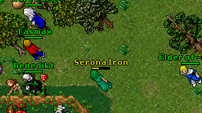 Serona Iron on screen