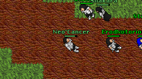 Neo'Cancer on screen