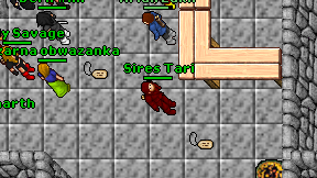 Sires Tari on screen