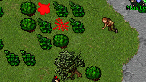 Dragonisek on screen