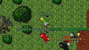 Tulok on screen
